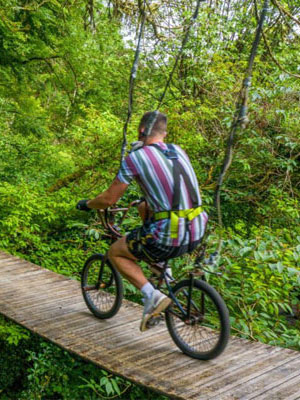 Zipit Forest Adventures