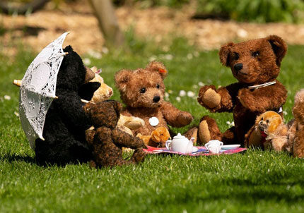 Bear Essentials & Silver Bear Centre