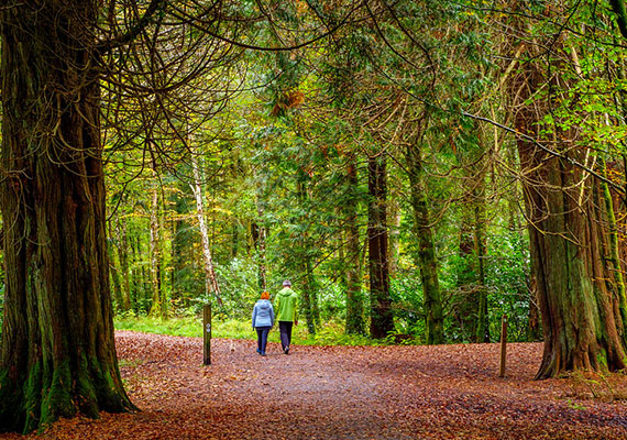 National Way marked Ways