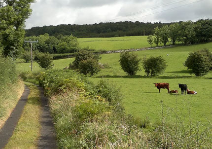 Miners Way & Historical Trail
