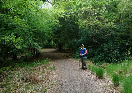 Discovering Ireland Naturally