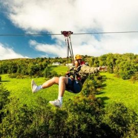 visitor-center-gallery4