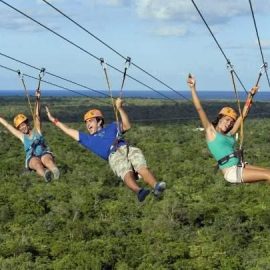 visitor-center-gallery5