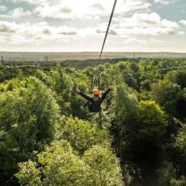 visitor-center-gallery6