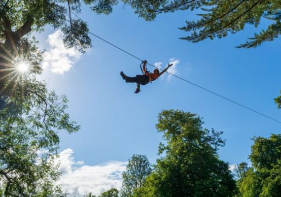 Zipit Forest Adventures